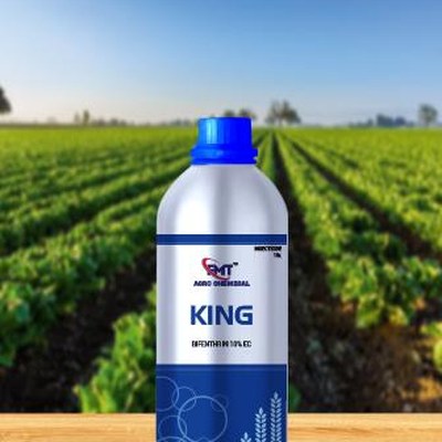 KING – Bifenthrin 10% EC | FMT Agro Chemical