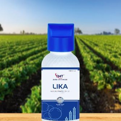 LIKA – Paclobutrazol 23% SC | FMT Agro Chemical